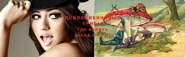 гашик Балахна